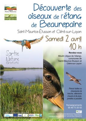 Affiche animation découverte des oiseaux de l'étang de Beaurepaire 2016 © CEN-PC
