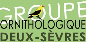 Groupe Ornithologique des Deux-Sèvres