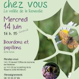 affiche animation insectes, Renaudie (16)