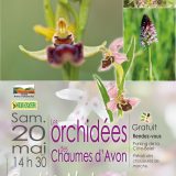affiche sortie orchidées, chaumes d'Avon (79)