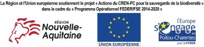logos programme FEDER/FSE