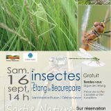Affiche sortie insectes Beaurepaire (79)